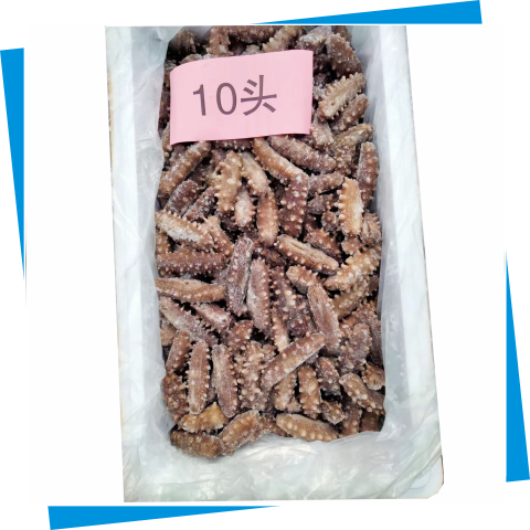 大連海參10頭35斤